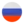 russian-flag-logo