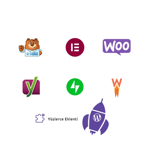 WordPress Hosting Görseli